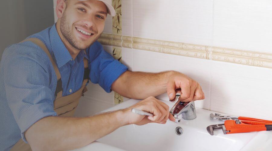 Professional Leak Detection Services services in Alvarado, MN